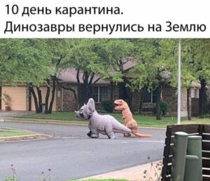 О карантине с юмором