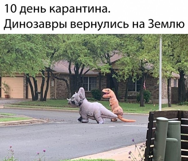 О самоизоляции с юмором